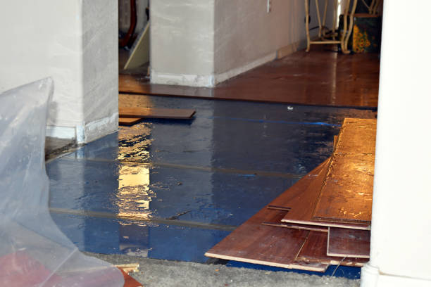 Professional Water Damage Restoration technician working in Sherrodsville, OH